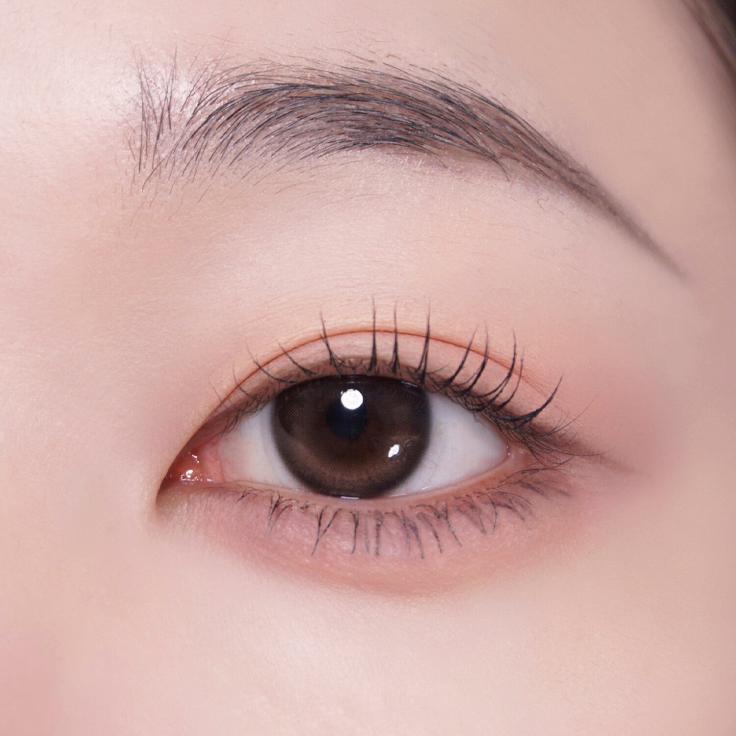 محدد عيون لتعزيز الرموش الصناعية من كولورجرام، 0.6 جرام