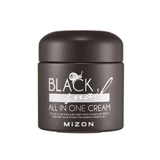 MIZON Schwarze Schnecke alles in einer Creme 75ml