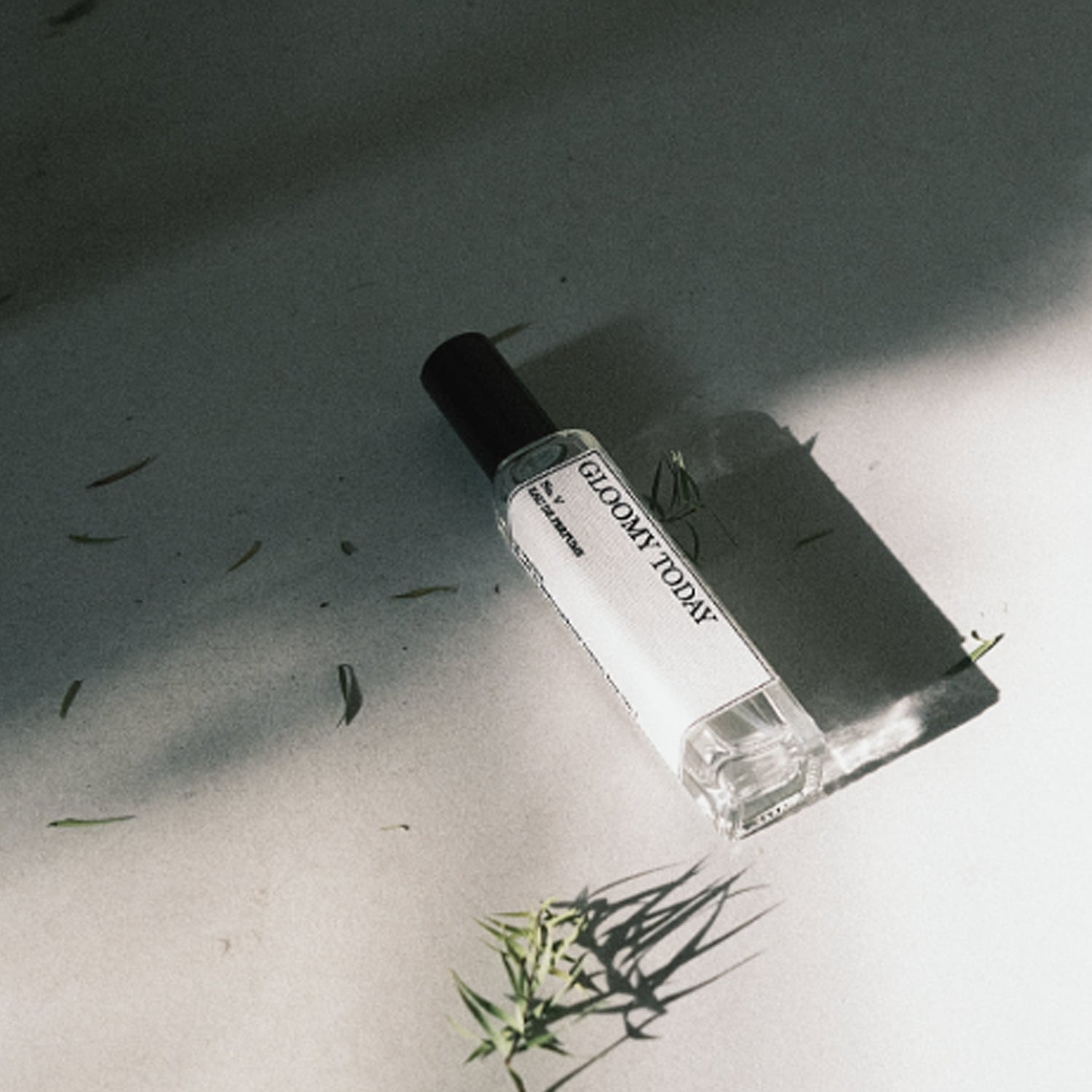 LA VARIETE LVA Ⅴ GLOOMY TODAY PORTABLE 15ml