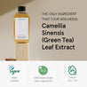 ONE THING Camellia Sinensis Leaf Extract 300ml - DODOSKIN