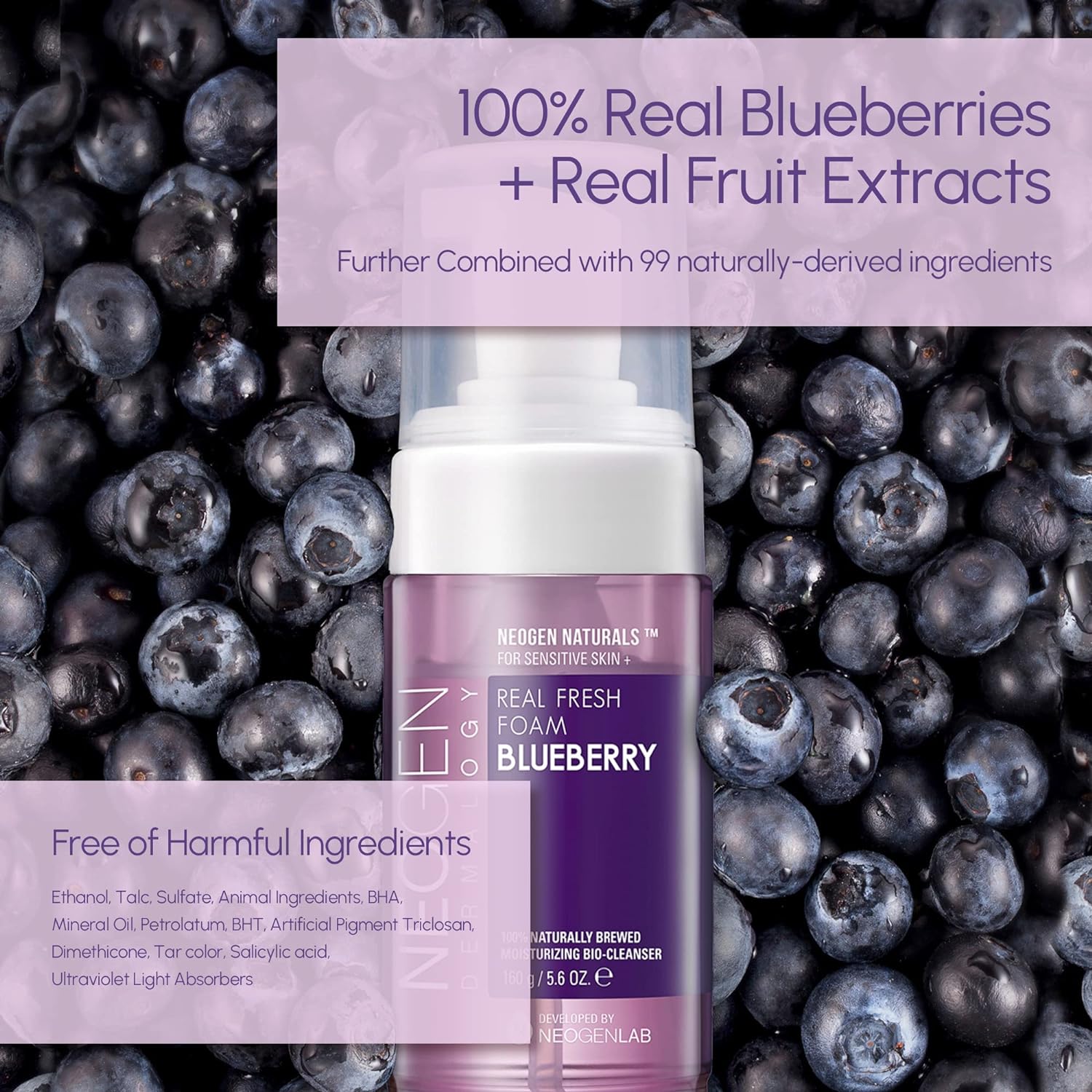 NEOGEN DERMALOGY Real Fresh Foam Cleanser Blueberry 160g - DODOSKIN