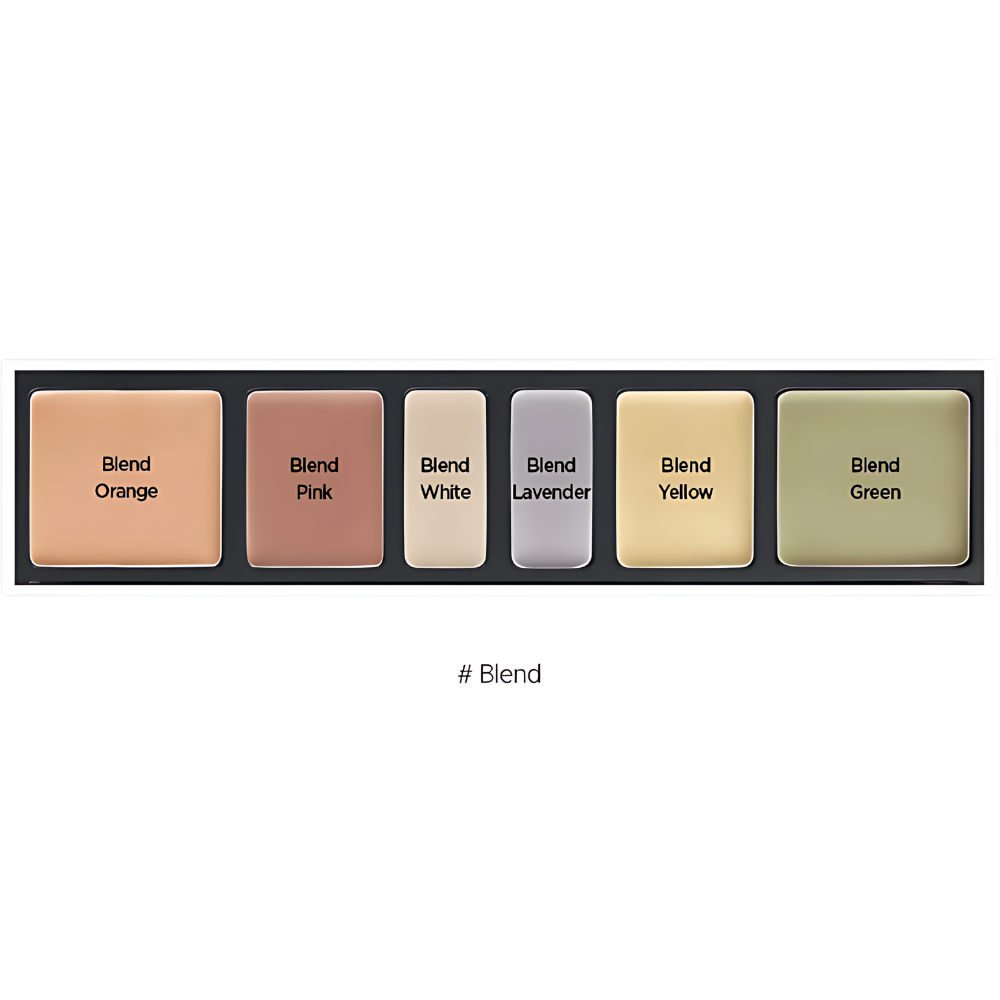 JUNG SAEM MOOL Artist Concealer Palette 6.6g