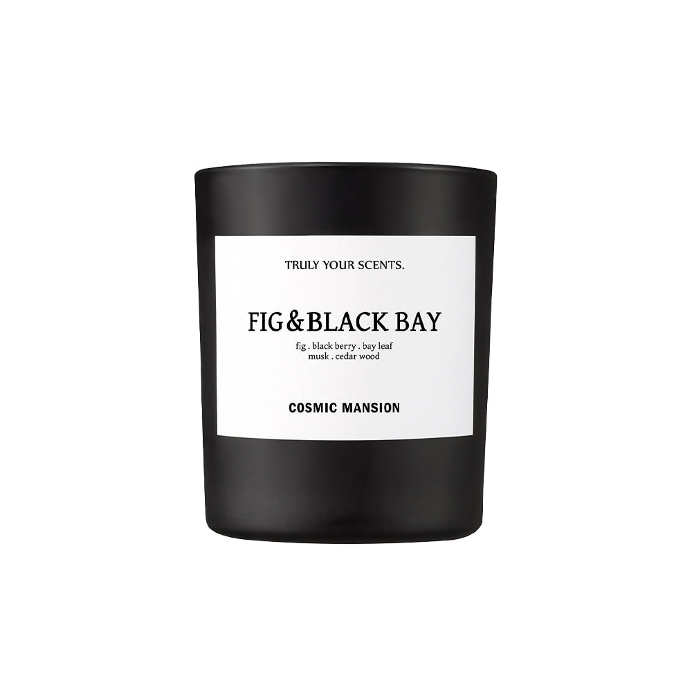 COSMIC-MANSION-Candle-FIG-_-BLACK-BAY.jpg