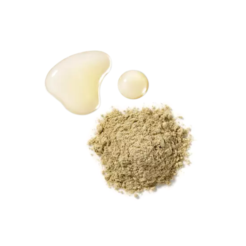 HOLITUALCleanTherapyPowderMask8ea-2.png