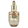Sulwhasoo Concentrated Ginseng Rescue Ampoule 20g