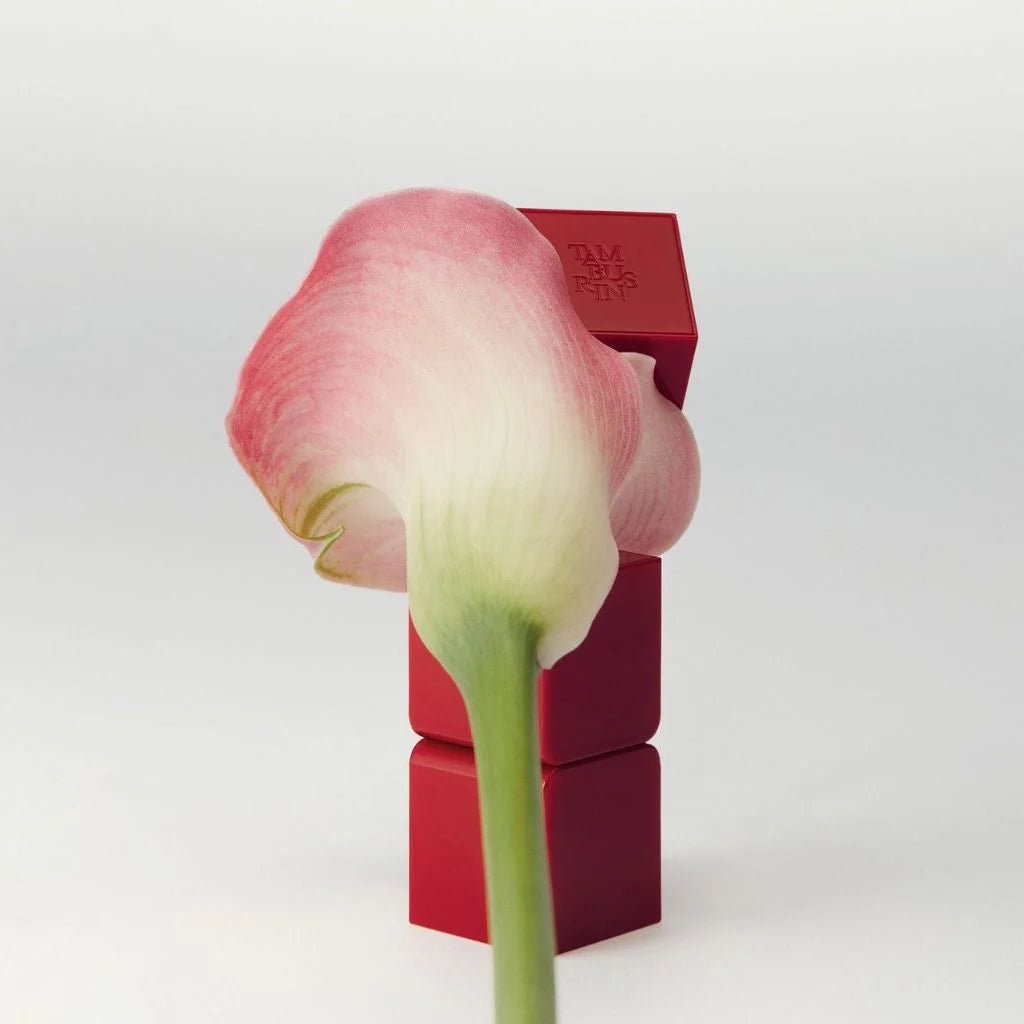 a single pink flower in front of a red cube
