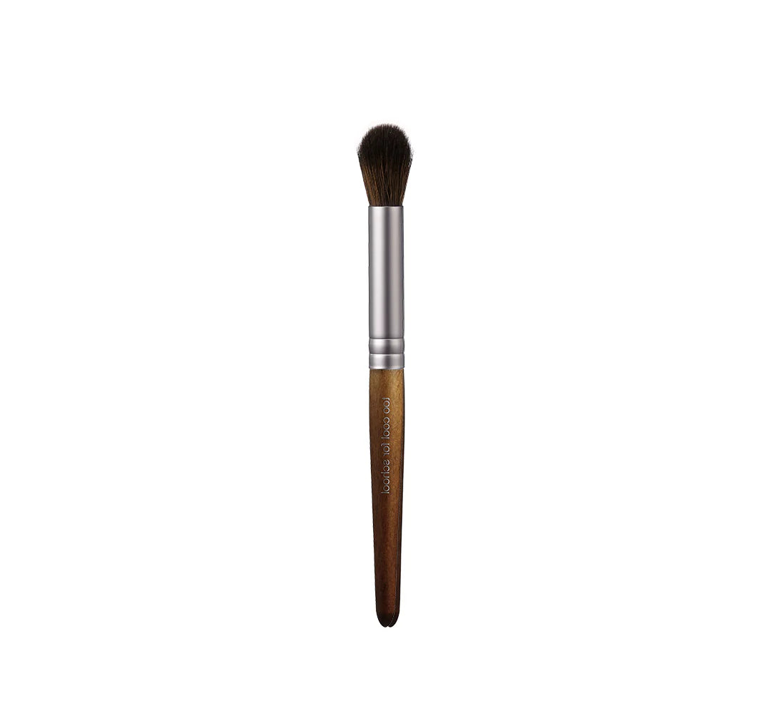 "Too Cool For School" vegan brush kit for artistic use.