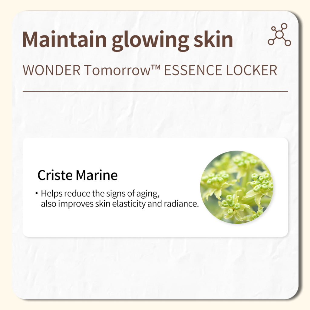 Sleek 50ml onoma Wonder Tomorrow Essence Locker bottle, exuding a sense of sophistication.