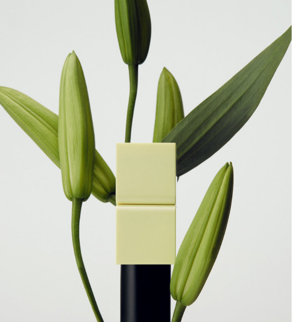 a close up of a plant with TAMBURINS Perfume Balm LALE 6.5g on a white background