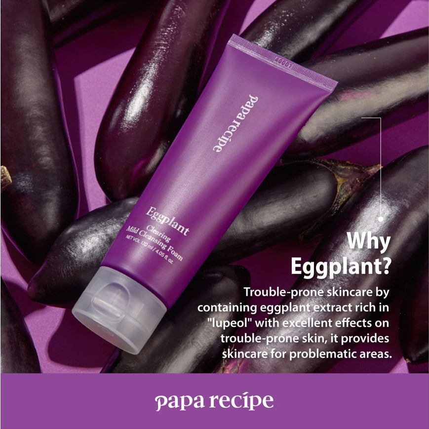 Papa Recipe Eggplant Clearing Mild Cleansing Foam 120ml - DODOSKIN